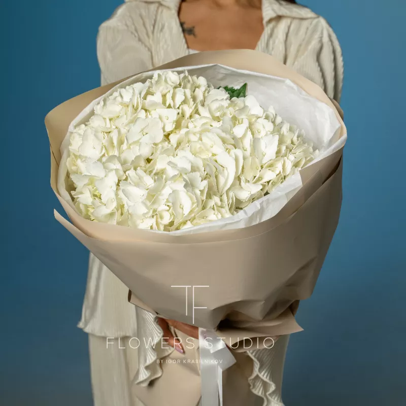  «Мороженка» 1