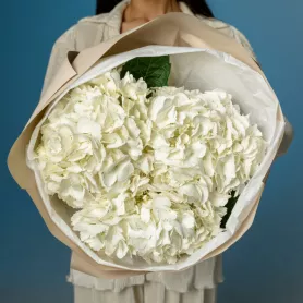 Монобукет «Мороженка» от интернет-магазина «Flowers Studio»