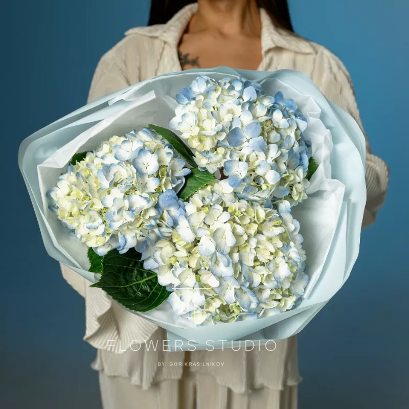 Голубые облака