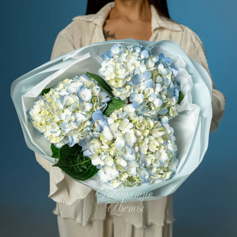 Голубые облака