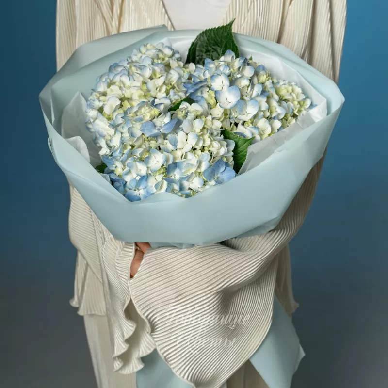 Голубые облака 2