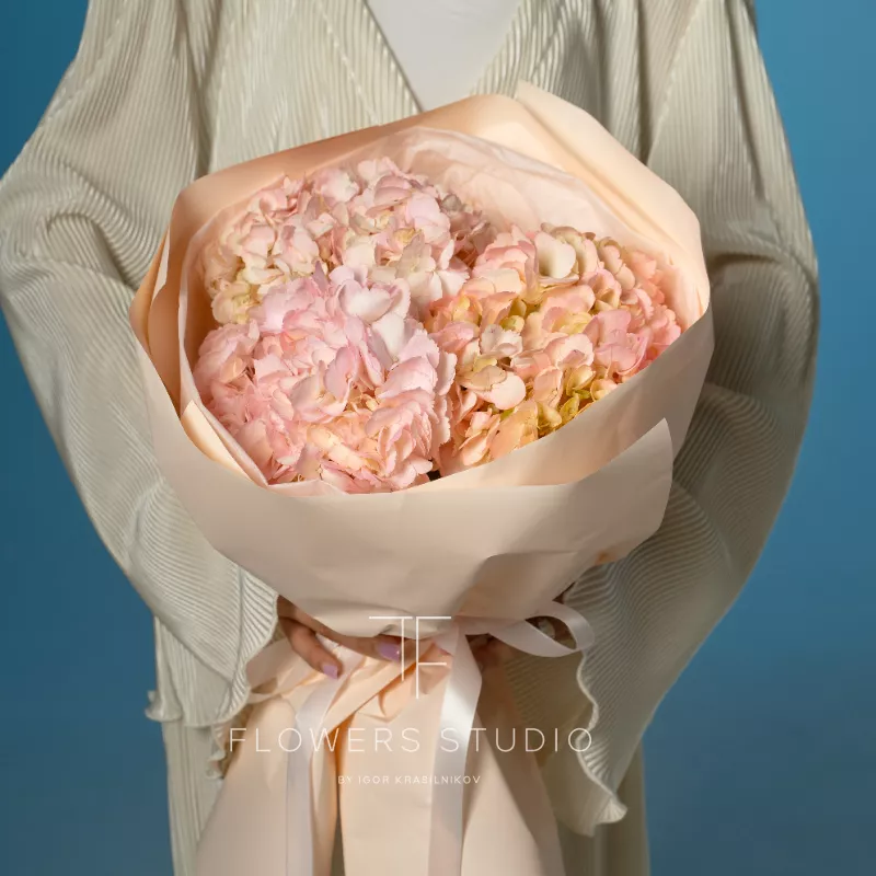 Воздушный фламинго 1