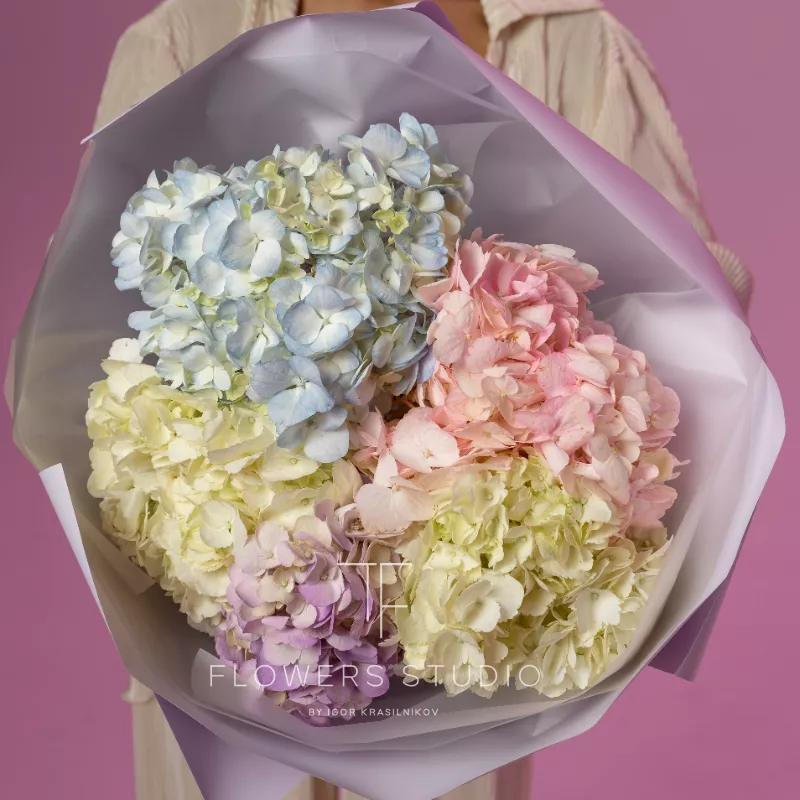 Мафины на облаке 1