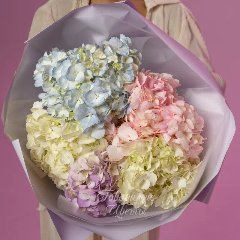 Мафины на облаке 1