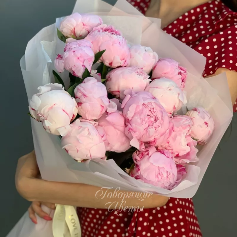 15 нежно-розовых пионов