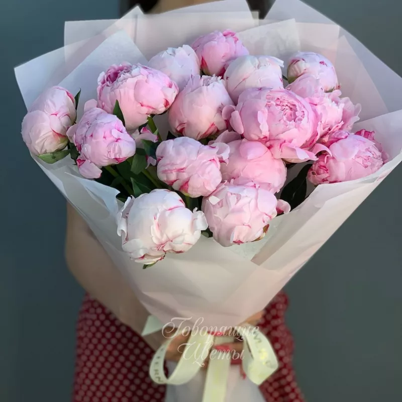 15 нежно-розовых пионов 1