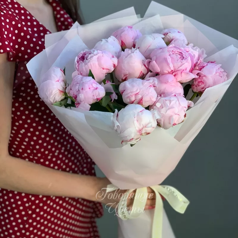 15 нежно-розовых пионов 2