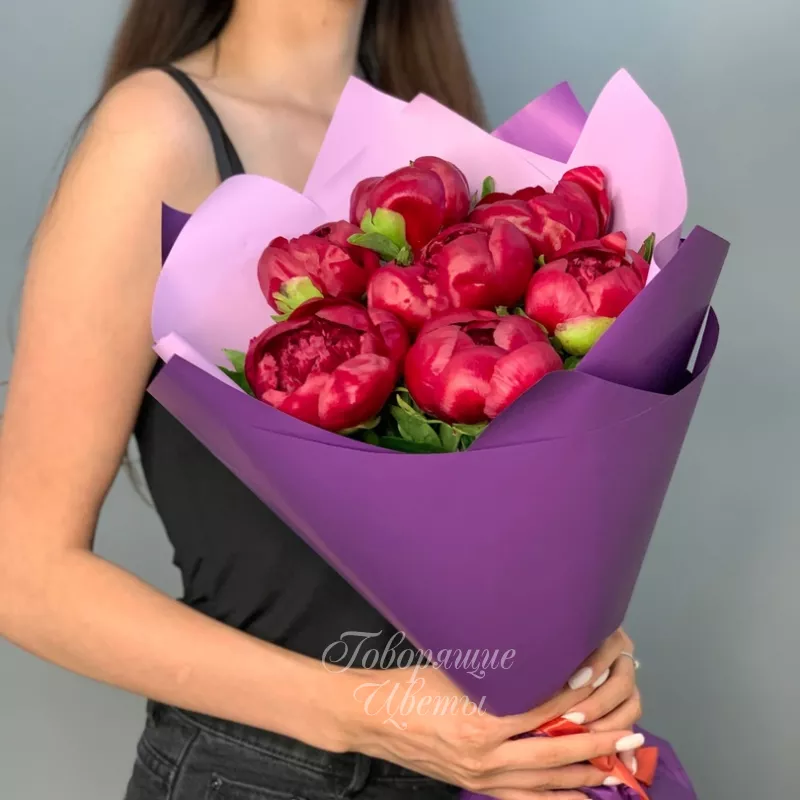 7 бордовых пионов 1