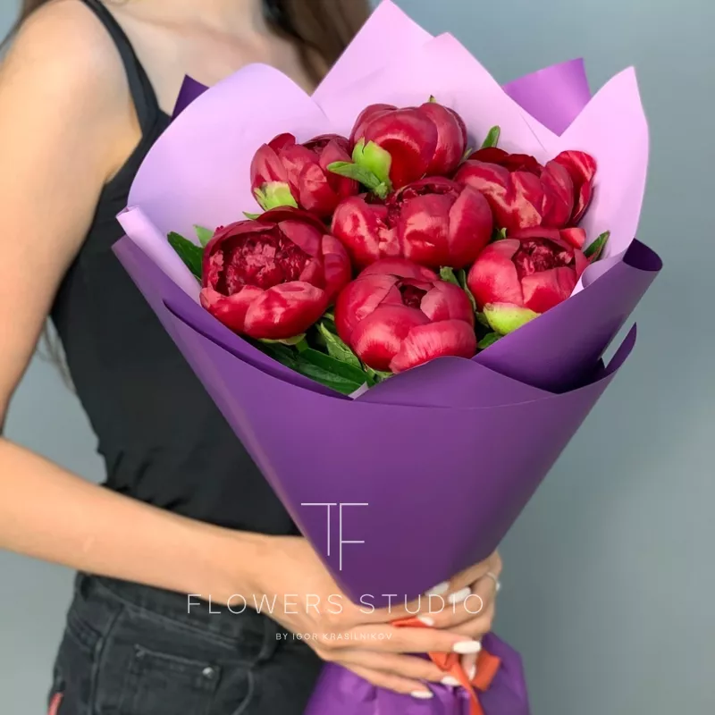 7 бордовых пионов 2