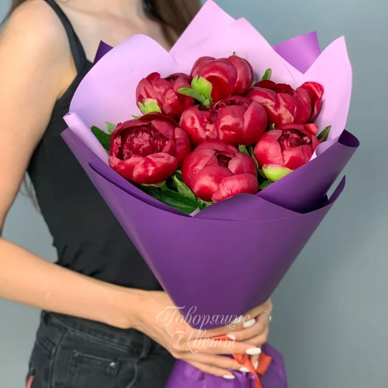 7 бордовых пионов 2