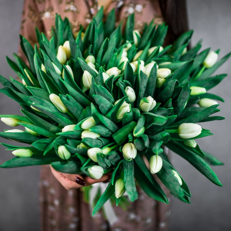 101 белый тюльпан 