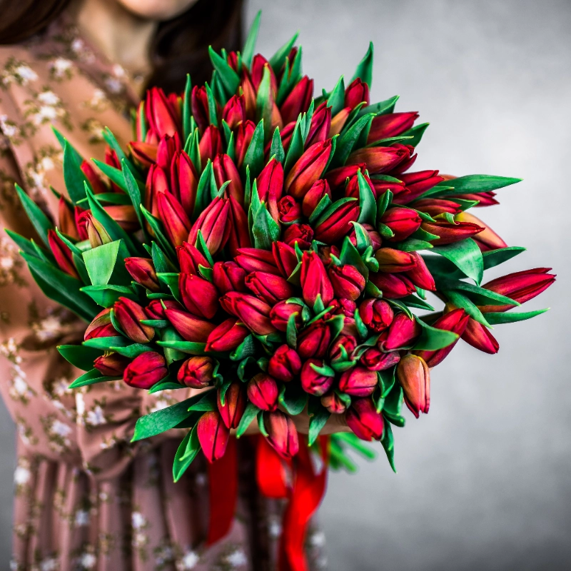 101 красный тюльпан