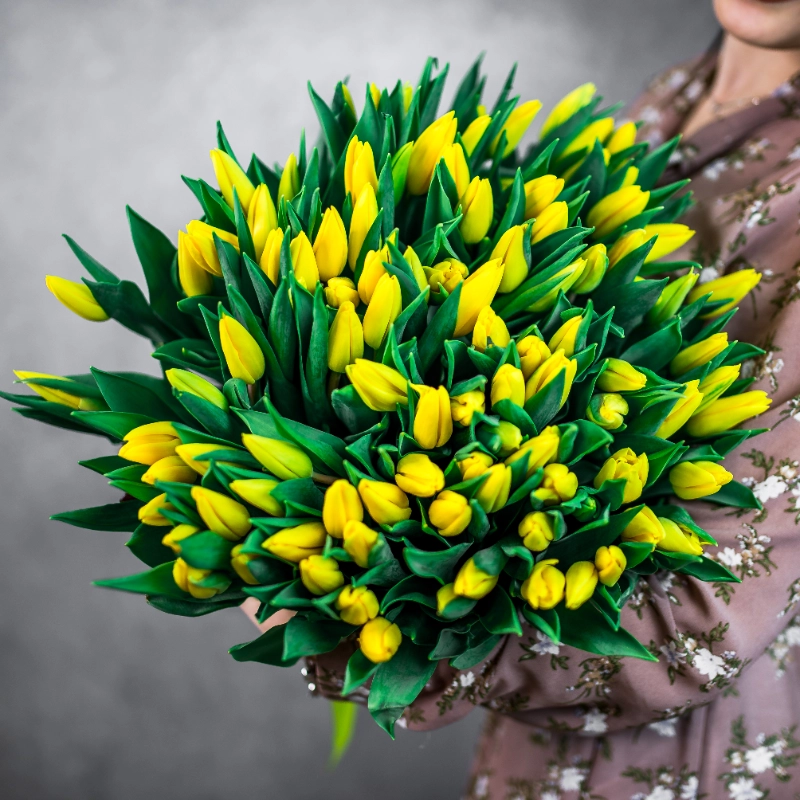 101 желтый тюльпан