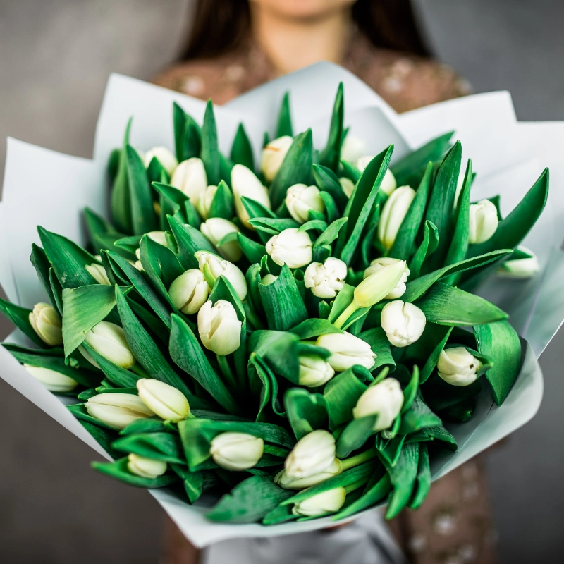 51 белый тюльпан  от интернет-магазина «Flowers Studio»