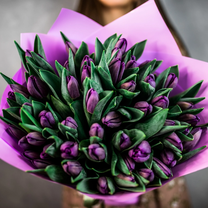 51 фиолетовый тюльпан  от интернет-магазина «Flowers Studio»
