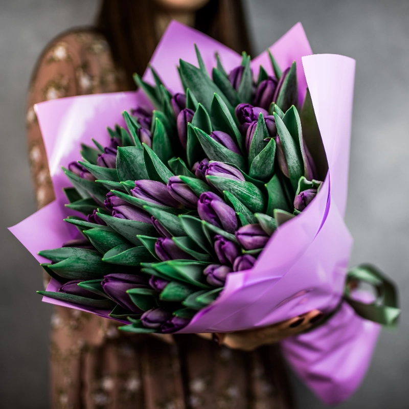 51 фиолетовый тюльпан  1