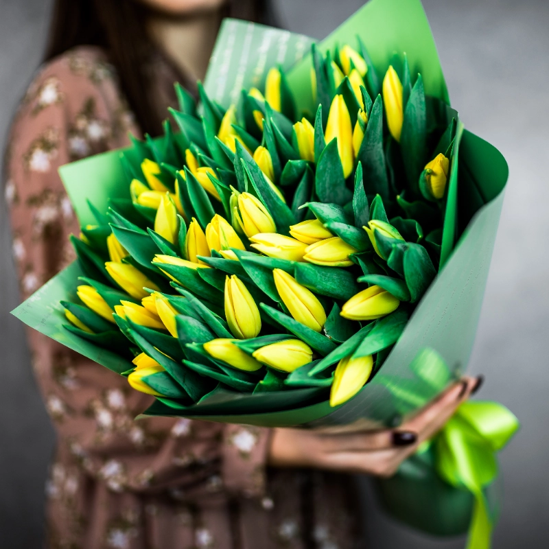 51 желтый тюльпан 1