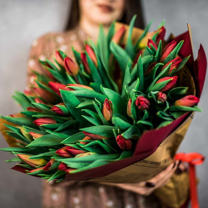 51 красный тюльпан  1