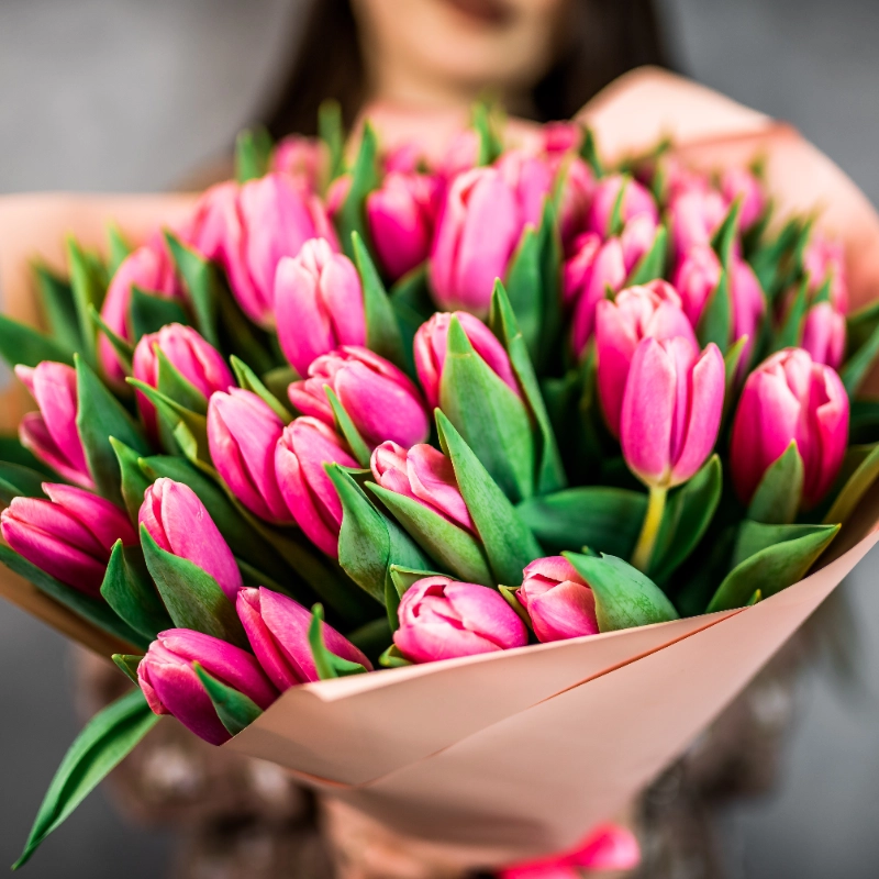 51 розовый тюльпан  1