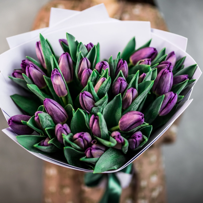 35 фиолетовых тюльпанов  от интернет-магазина «Flowers Studio»