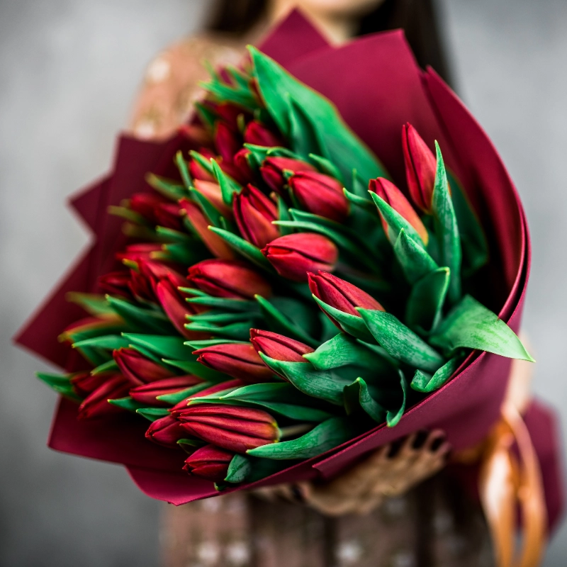 35 красных тюльпанов  1