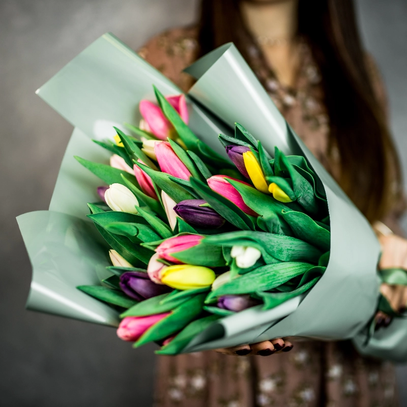 25 тюльпанов микс  1