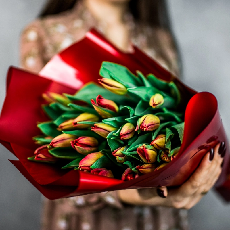 25 красных тюльпанов  1