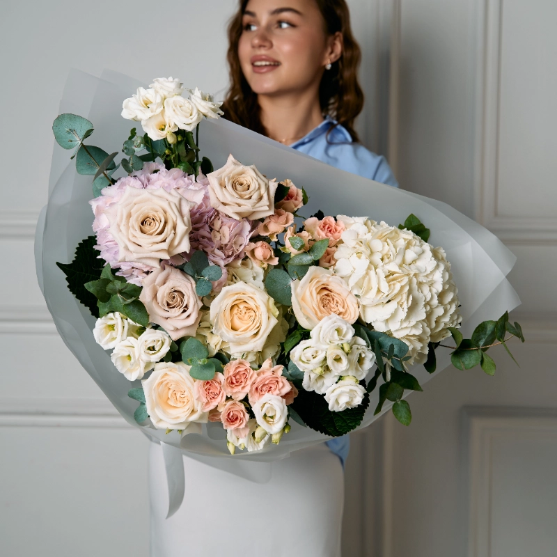 Элегия света