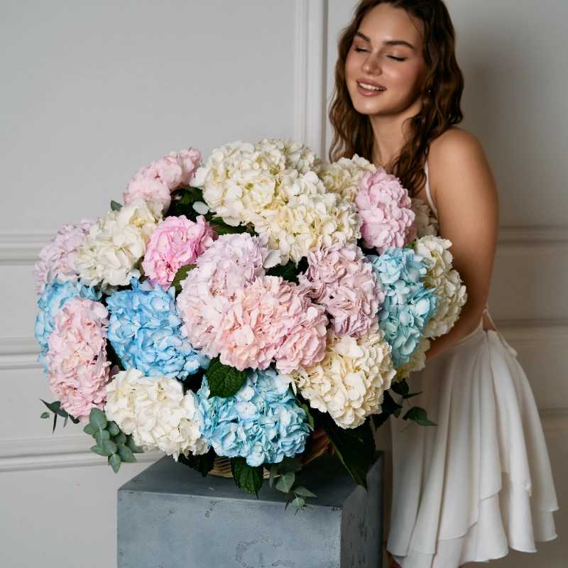 Кредо нежности