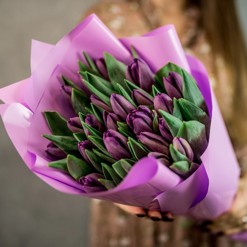 25 фиолетовых тюльпанов 1